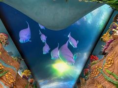 -珠海长隆海洋王国