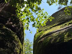 -汤旺河林海奇石景区