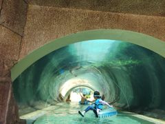 -新加坡水上探险乐园