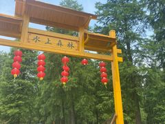 -渌洋湖湿地公园