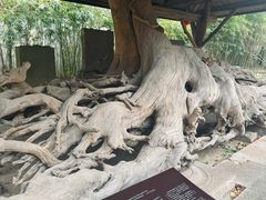 -宁波市保国寺古建筑博物馆