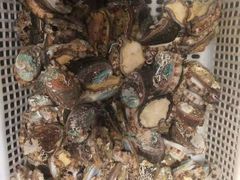 -郑庄脂渣海鲜楼(九水路店)