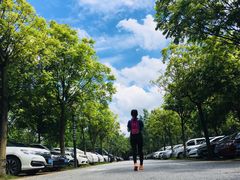 -火炉山森林公园