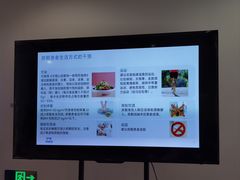 -上海市第一医药商店(南京东路店)