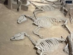 -洛阳周王城天子驾六博物馆