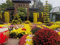-南山植物园