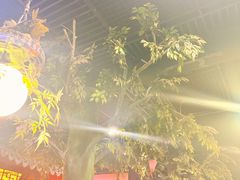 -采芝斋评弹茶馆(观前街店)