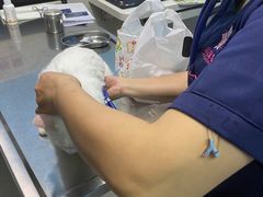 -哆趣宠物医院·眼科·内镜·急重症转诊中心(上海店)