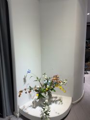 -星光兔·西扶海棠·写真馆(景德镇店)