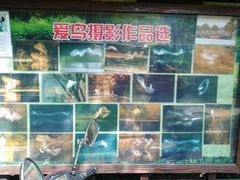 -新江湾城公园