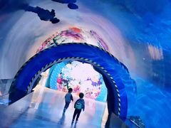 -海合安天津极地海洋公园