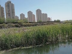 -前关湿地公园