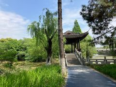 -范蠡湖公园