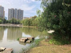 -南翔镇银翔湖公园
