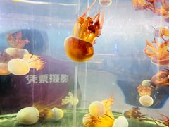 -重庆欢乐海底世界