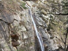 -内乡宝天曼生态旅游区