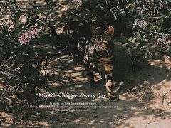 -鄂尔多斯野生动物园