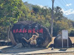 -海南霸王岭国家森林公园