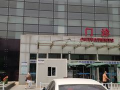 -首都医科大学附属北京地坛医院