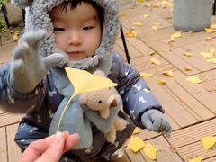 -腾爱熊猫咖啡生活馆(老东门店)