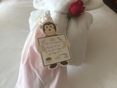 -新加坡文华东方酒店