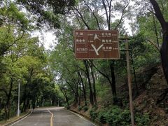 -大雁山风景区