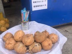 -西双版纳傣族园