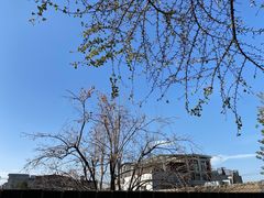-自如ZSPACE四合院艺术餐厅
