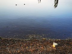 -贡湖湾湿地公园