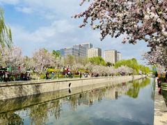 -海棠花溪(元大都城垣遗址公园)