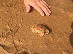 -青岛银沙滩温德姆至尊酒店