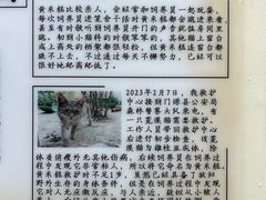 -青藏高原野生动物园