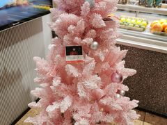 -奈雪的茶(石家庄万象城店)