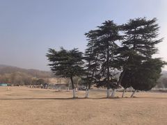 -钟山体育运动公园