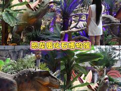 -中国西峡恐龙遗迹园