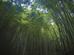 -敬亭山风景名胜区