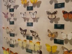 -陕西自然博物馆