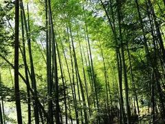 -罗田薄刀峰风景区