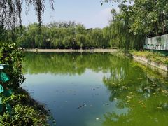 -思念果岭湖畔花房餐厅