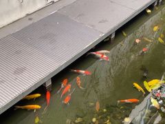 -绿房子方寸咖啡(星海名城店)