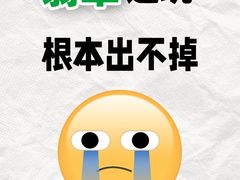 -华联古玩城(华联商厦店)