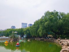 -团结湖公园