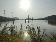 -顺峰山公园