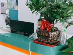 -海之声助听器(跃进南路赤坎店)