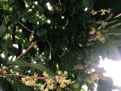 -杭州海华满陇度假酒店