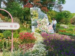 -上海鲜花港