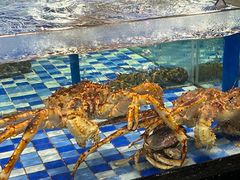 -老伙记海鲜码头(北滘店)