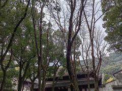 -宁波市保国寺古建筑博物馆