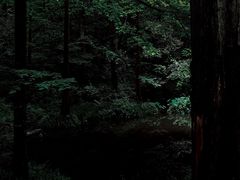-西湖文化广场