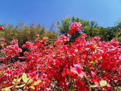 -西泰山风景区
